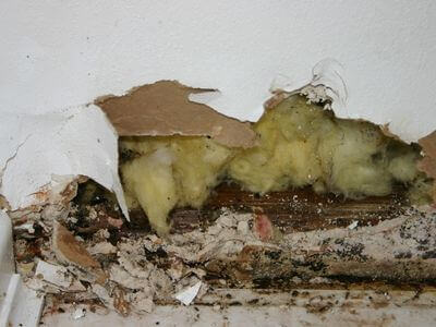 About Mesa Basement Water Damage Repair Pros - basement water damage repair experts in Mesa
