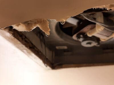 Professional basement water damage repair services in Mesa